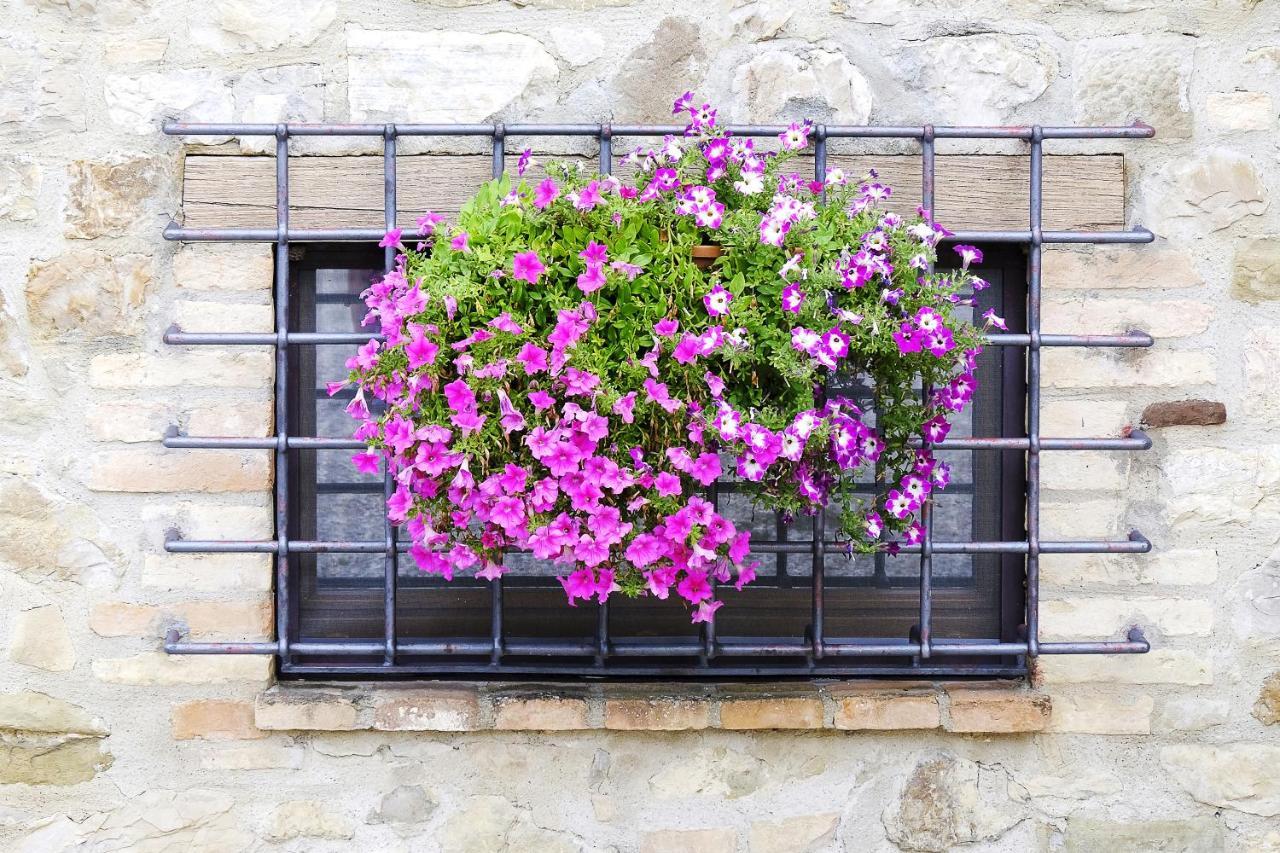 Bed & Breakfast Casale Le Orme