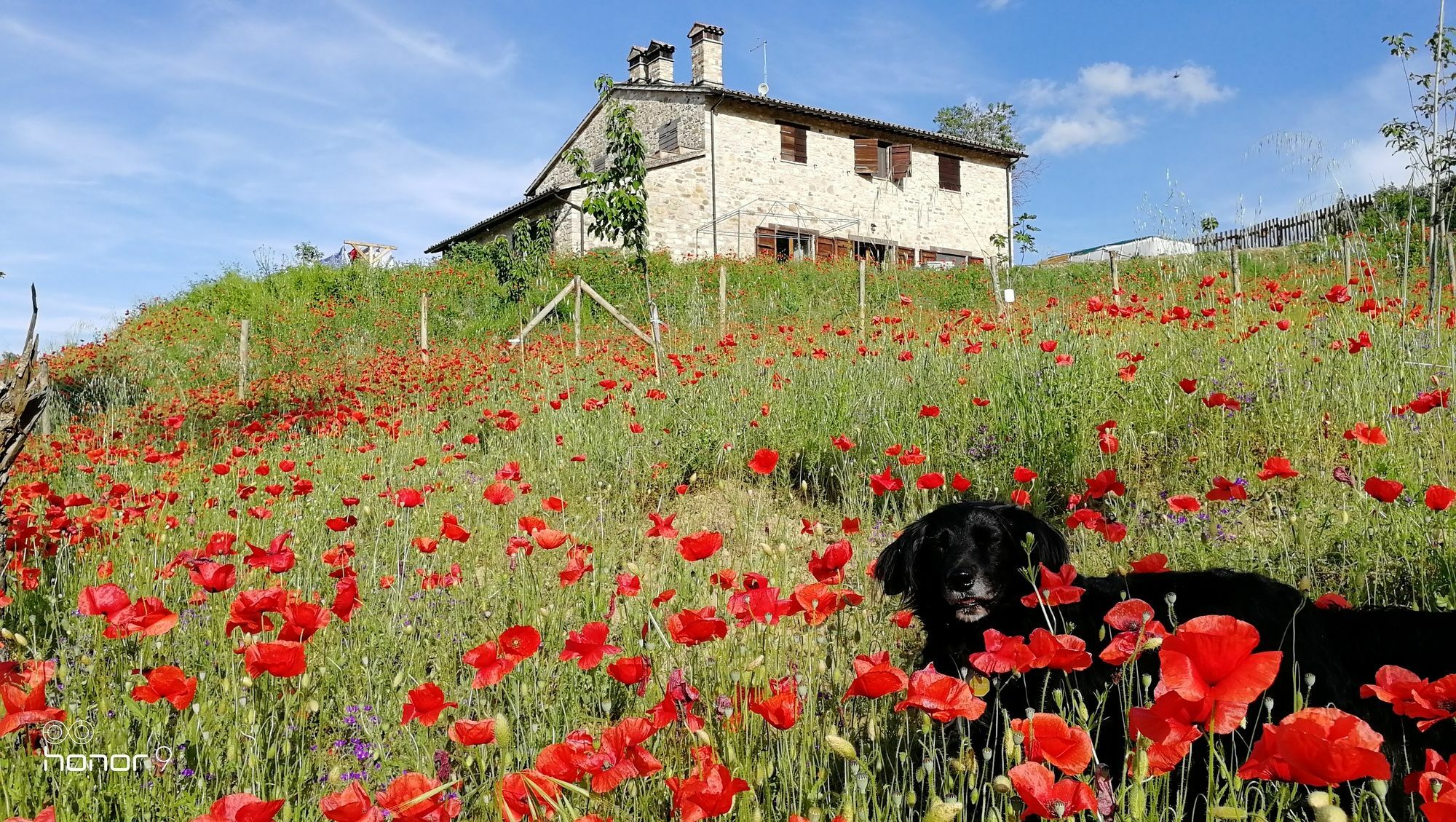 Casale Le Orme 3* Todi